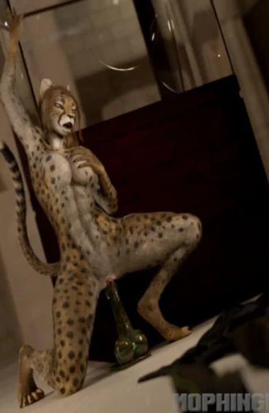 Mophingu - Museum Night Prowl