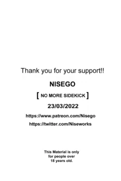 No More Sidekick (35)