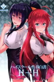 Highschool of Spring White Paper H+H (1)