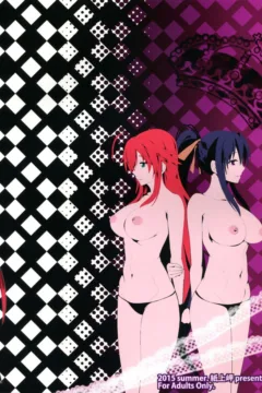 Highschool of Spring White Paper H+H (26)