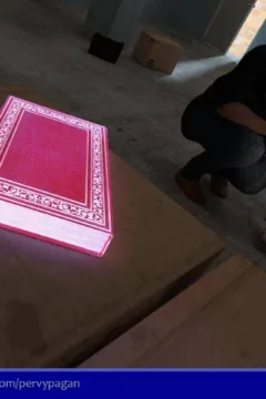 Magic of the Flesh (4)