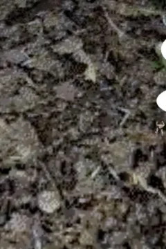 Rise of Goddess Ch2_048