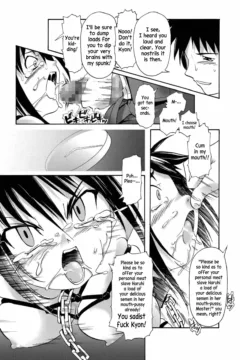 The Duty of Haruhi Suzumiya (20)