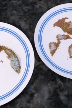 The Reaction – Amy (38)