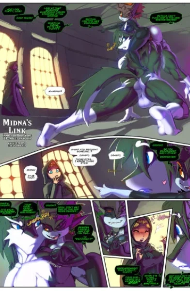 Twilight Princess - Midna's Link