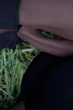 Lost in the Woods 2 (89)