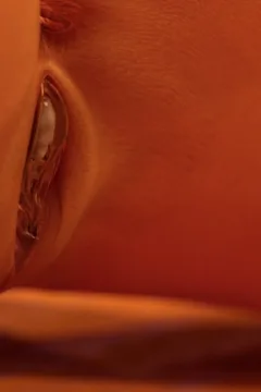 Son’s Swap in Family Trip (88)