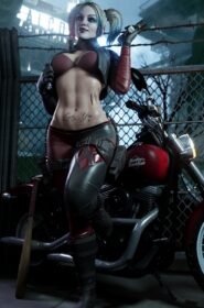Harley Quinn (2)