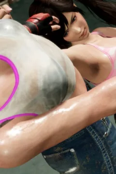 Hitomi vs Kokoro (20)