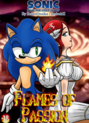Sonic 06 - Flames of Passion [RaianOnzika]