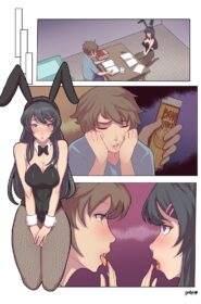Bunny Transfer (13)