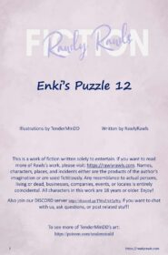 Enki’s Puzzle 12 (2)