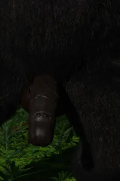 Gorillas World Chapter 1 – 013