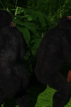 Gorillas World Chapter 1 – 081