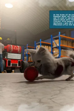 Satisfying Needs 6 (216)