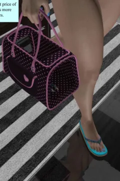 Burglers Fantasy (26)