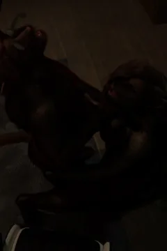 Cursed streaming – Abby & Lucy (38)