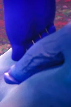 The Brokers Debt (14)