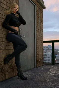 cat_on_a_roof_04b copy