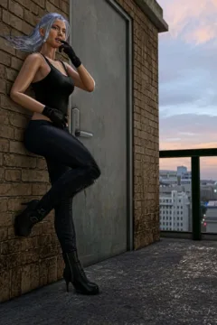 cat_on_a_roof_05c copy (1)