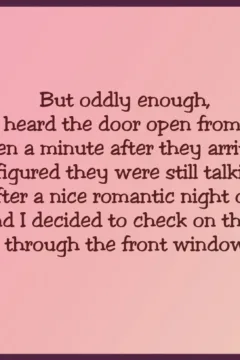 A little spy game018