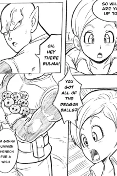 Bulma’s Lost Youth003