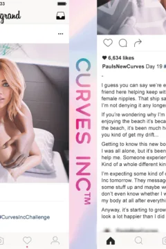 Paul’s New Curves (19)