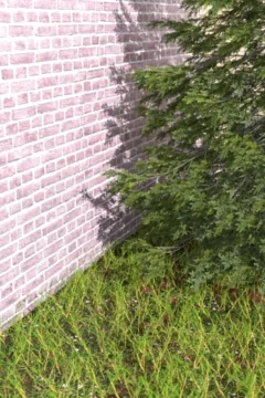 Siblings Caught Teacher Smoking At School (65)