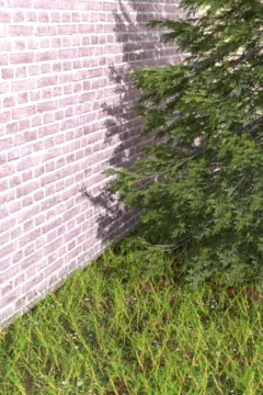 Siblings Caught Teacher Smoking At School (66)