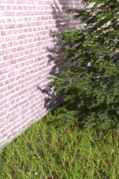 Siblings Caught Teacher Smoking At School (68)