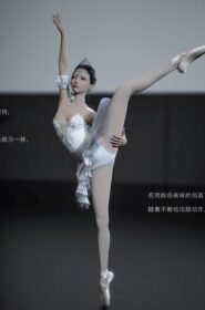 The nightmare of a ballet dancer (16)