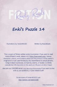 Enki's Puzzle 14002