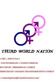 The Third World Nation 1 (2)