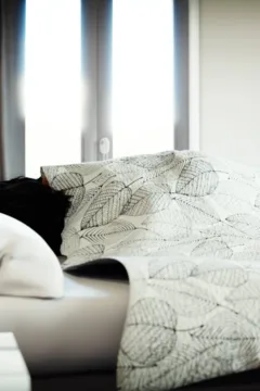 The Legend of The Ten Rings (4)