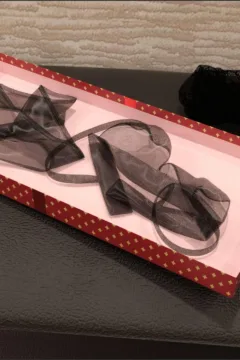 The Lively Lingerie (33)