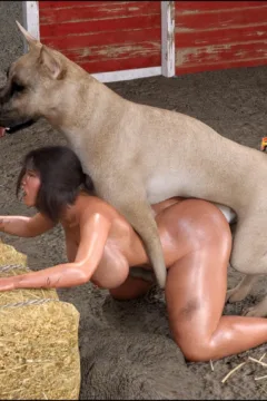 Foster Mother 36 (93)