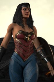 Wonder Woman x Link (1)