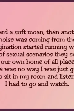 A Little Spy Game093