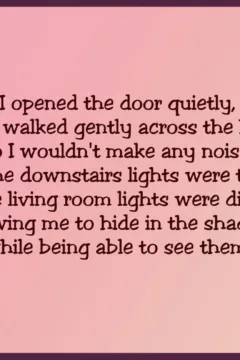 A Little Spy Game094