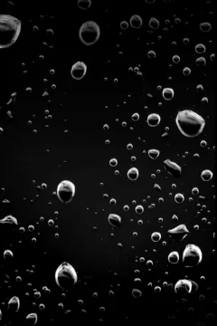 My Neighbor’s Widow092