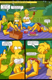The Simpsons Picnic (1)
