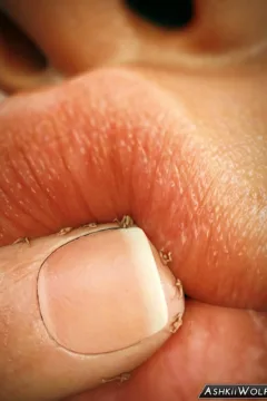 Andreia’s Breakfast – PAGE 44.0