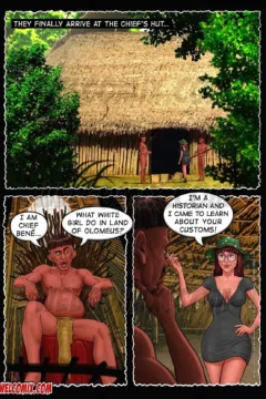 Studying Brazilian History006