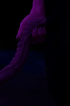 The Beast Land 2 (105)