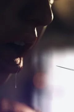 Hansel and Gretel (35)