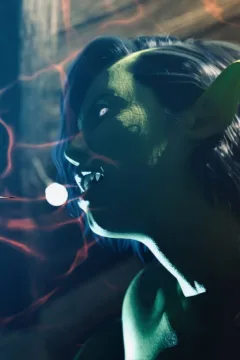 Hansel and Gretel (88)