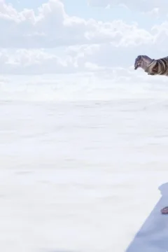 Goddess on an mountain top (16)