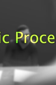 Iconic Procedure (2)