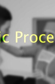 Iconic Procedure (20)