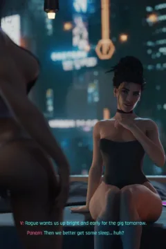 Cyberpunk V’s Advtuters (19)